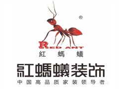 红蚂蚁装饰