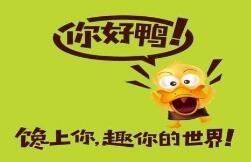 你好鸭