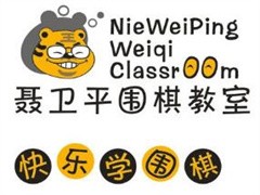 聂卫平围棋教室