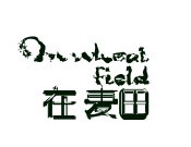 在麦田