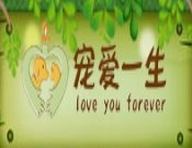 宠爱一生