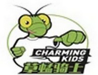 草蜢骑士儿童早教运动中心