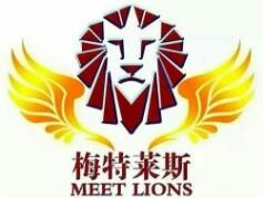 梅特莱斯汽车美容