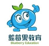 蓝莓果学前班