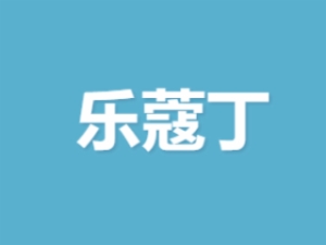 乐蔻丁少儿编程