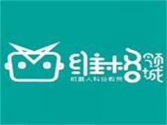 维格领城机器人教育