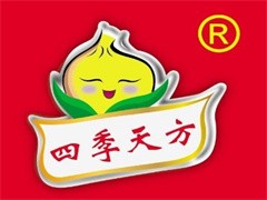 四季天方包子