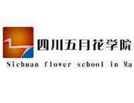 五月花IT职业教育