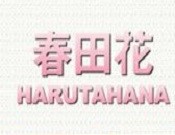 春田花美甲
