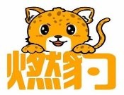 燃豹少儿体适能