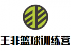 王非篮球训练营