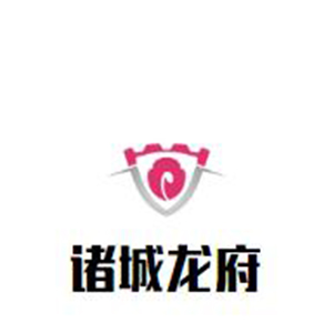 诸城龙府烤鸡架子