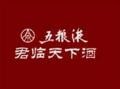 五粮液君临天下酒
