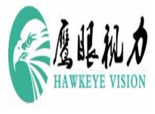 鹰眼视力