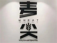 麦尖青年文艺酒店