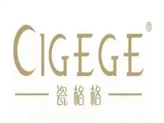 瓷格格皮肤管理