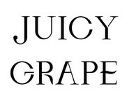 多汁的葡萄饰品