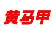 黄马甲快递