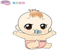 布布宝贝