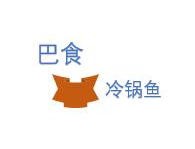 巴食冷锅鱼火锅
