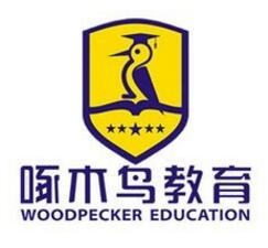 啄木鸟教育