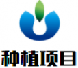 种植项目