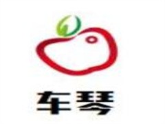 车琴水果店