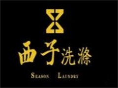 西子洗涤