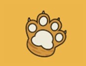 如虎少儿体能馆