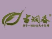 古洞春茶叶