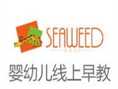 海苔宝贝早教