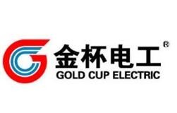金杯电工